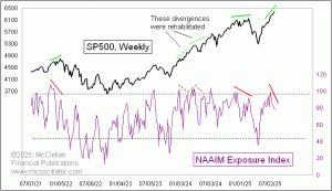 Click for Large Chart weekly Chart In Focus